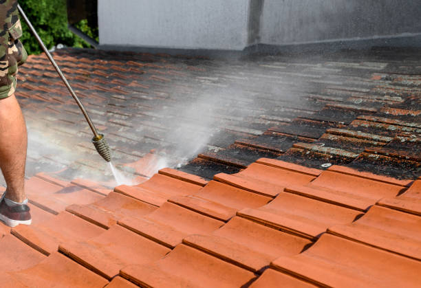Best Deck Cleaning Services  in Forest Lake, MN