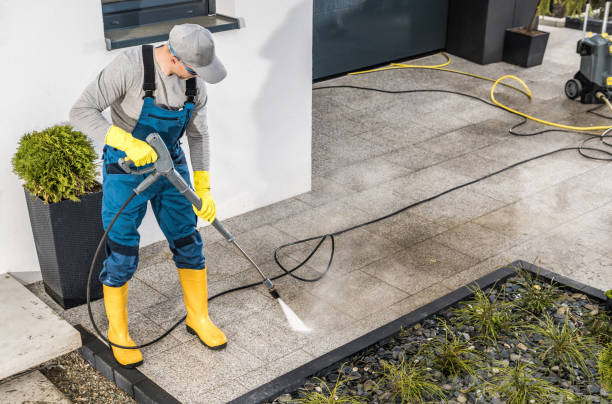 Best Local Pressure Washing Services  in Forest Lake, MN