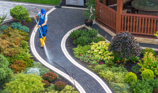 Best Affordable Pressure Washing  in Forest Lake, MN